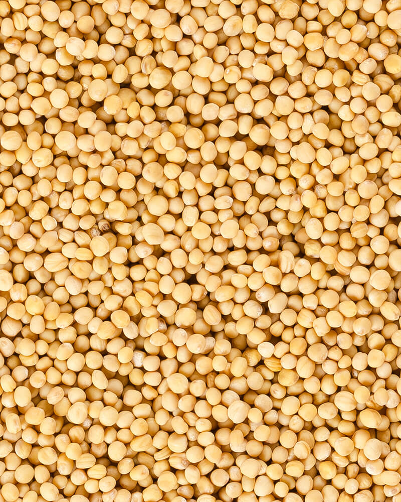 yellow-mustard-seeds